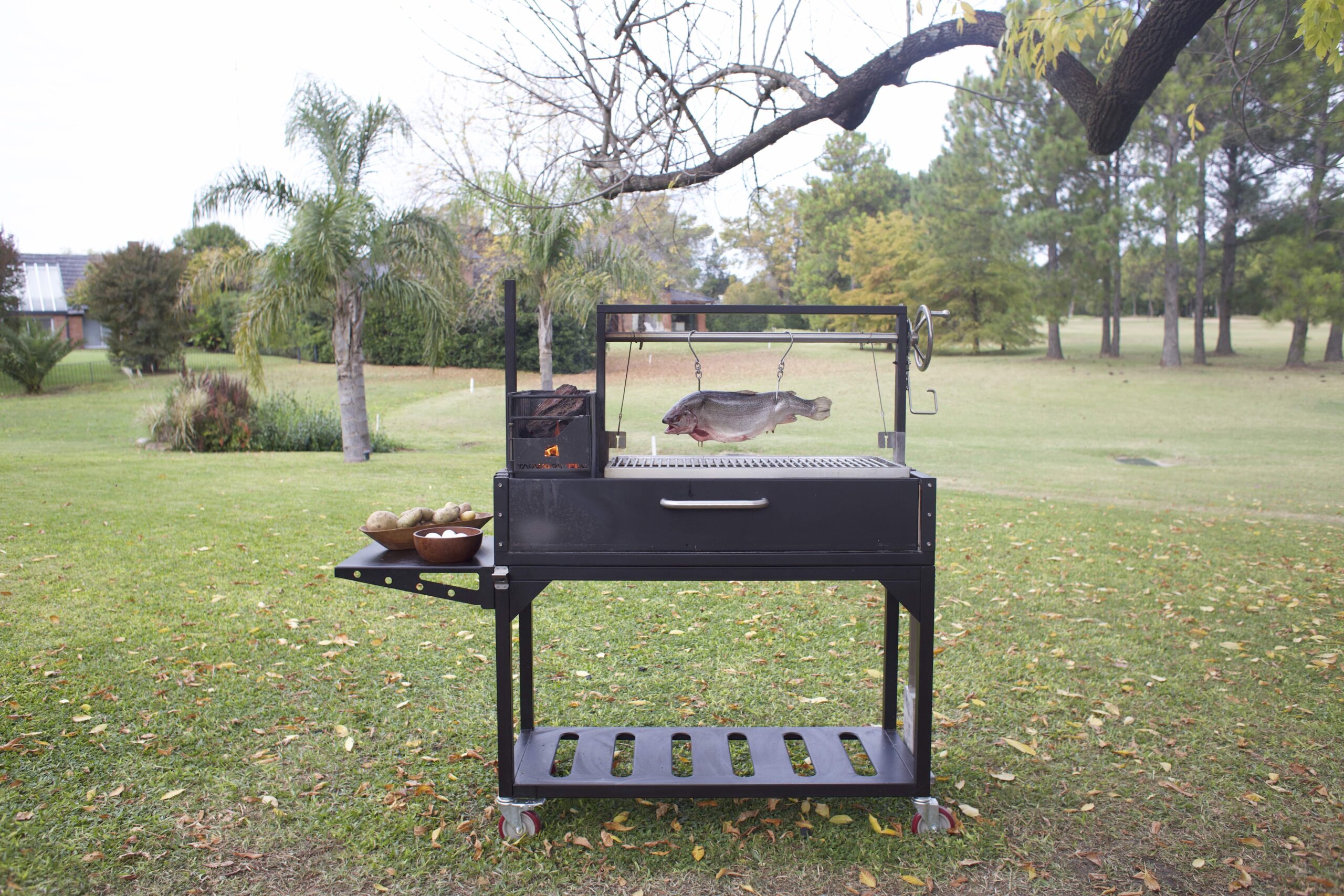 BBQ03SI01-1